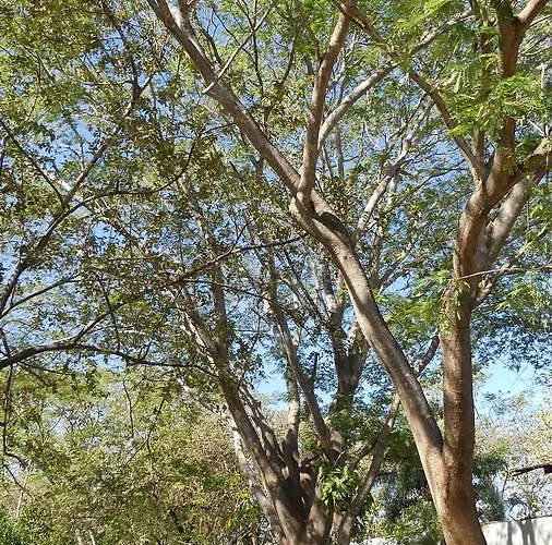 Chantemar * GUANACASTE