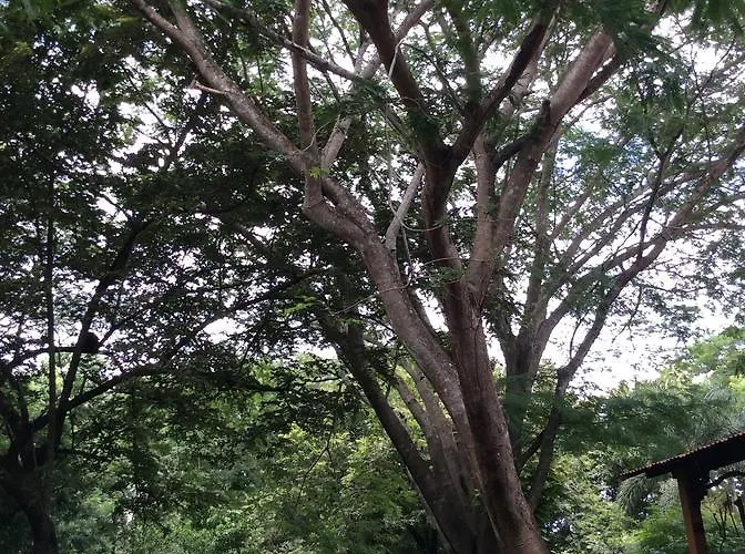Chantemar * GUANACASTE
